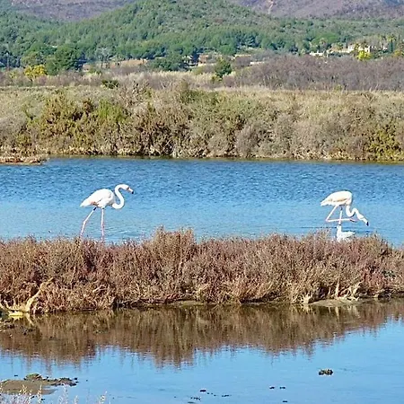 Le Royal Rivage - Piscine - A 200m De La דירה קרקראן